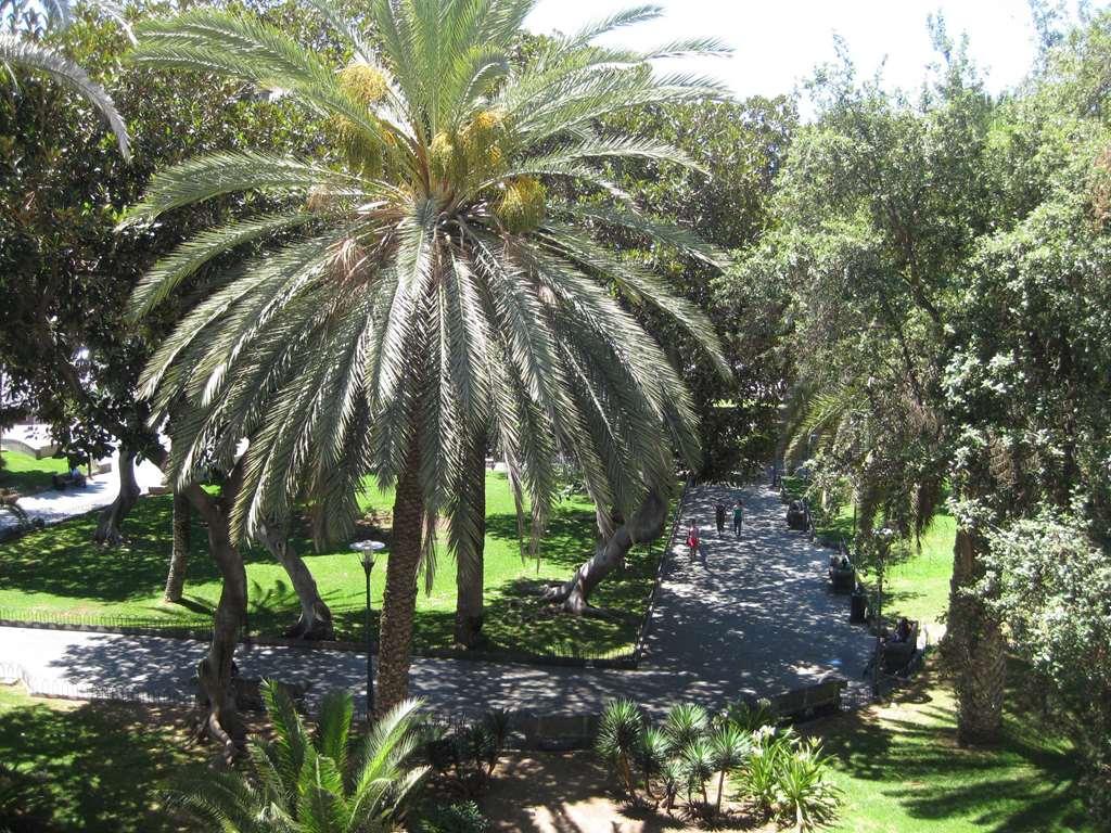 Sercotel Hotel Parque Las Palmas de Gran Canaria Luaran gambar